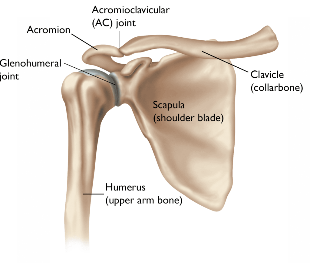 Right shoulder osteoarthritis icd 10
